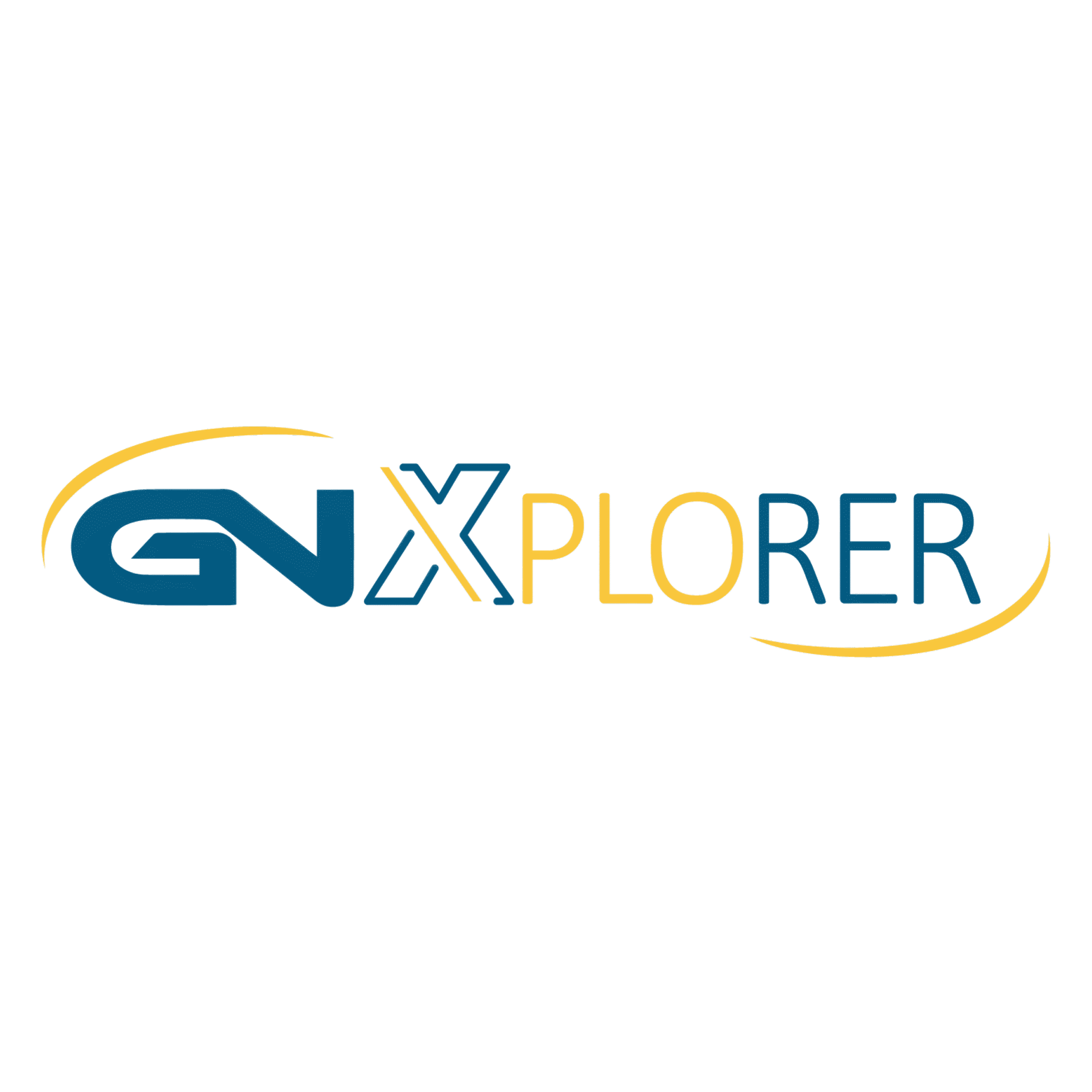 LOGO GNXPLORER Logo Pulse